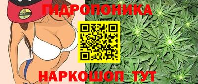 spice Нальчик