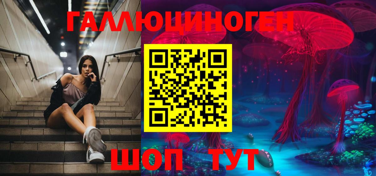 Удомля  Галлюциногенные грибы Psilocybine cubensis  Вход с VPN 
